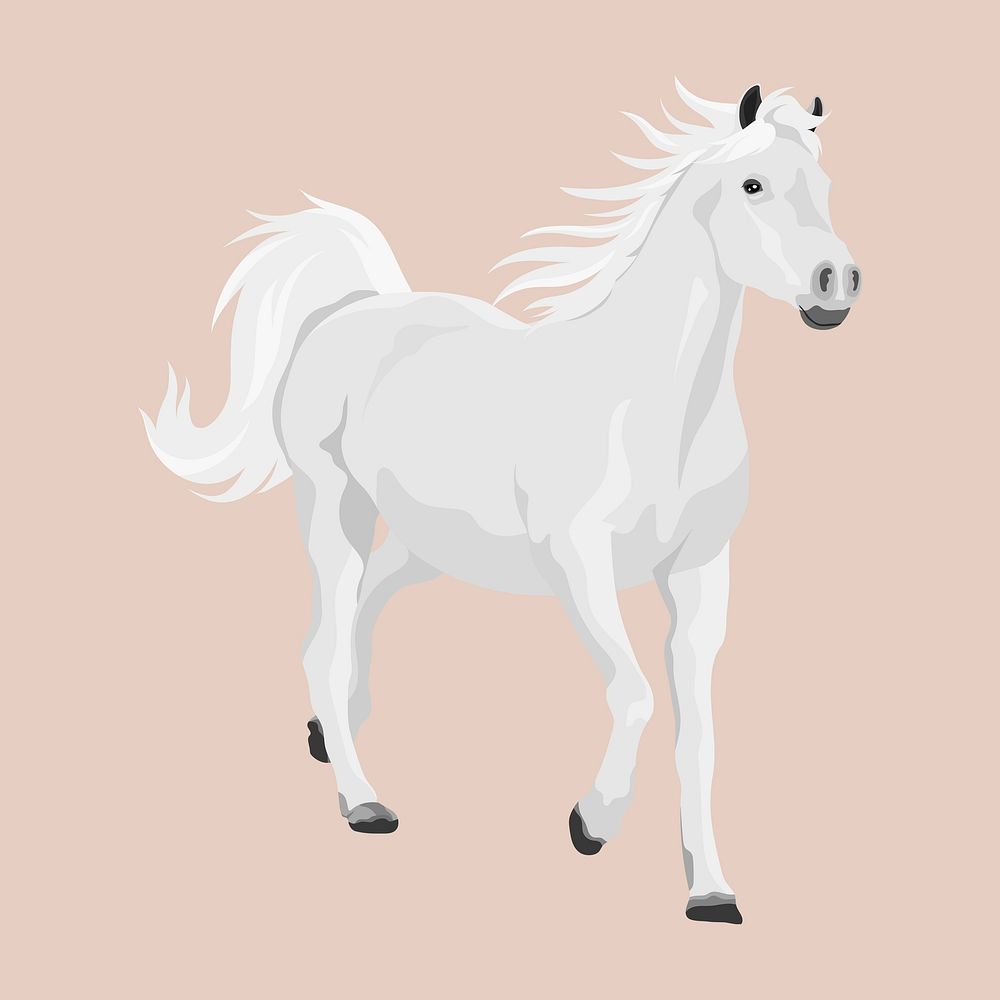 White horse illustration psd