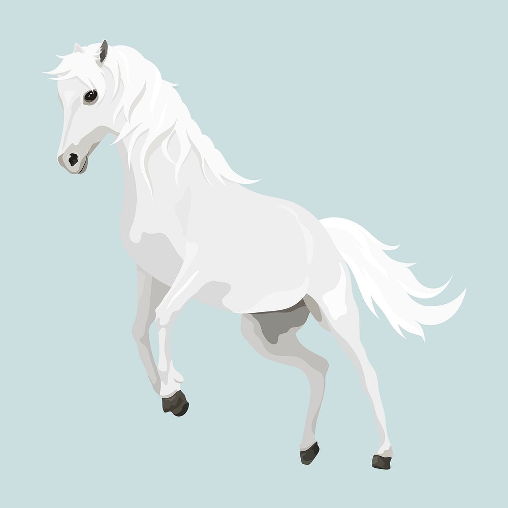 Arabian white horse illustration psd