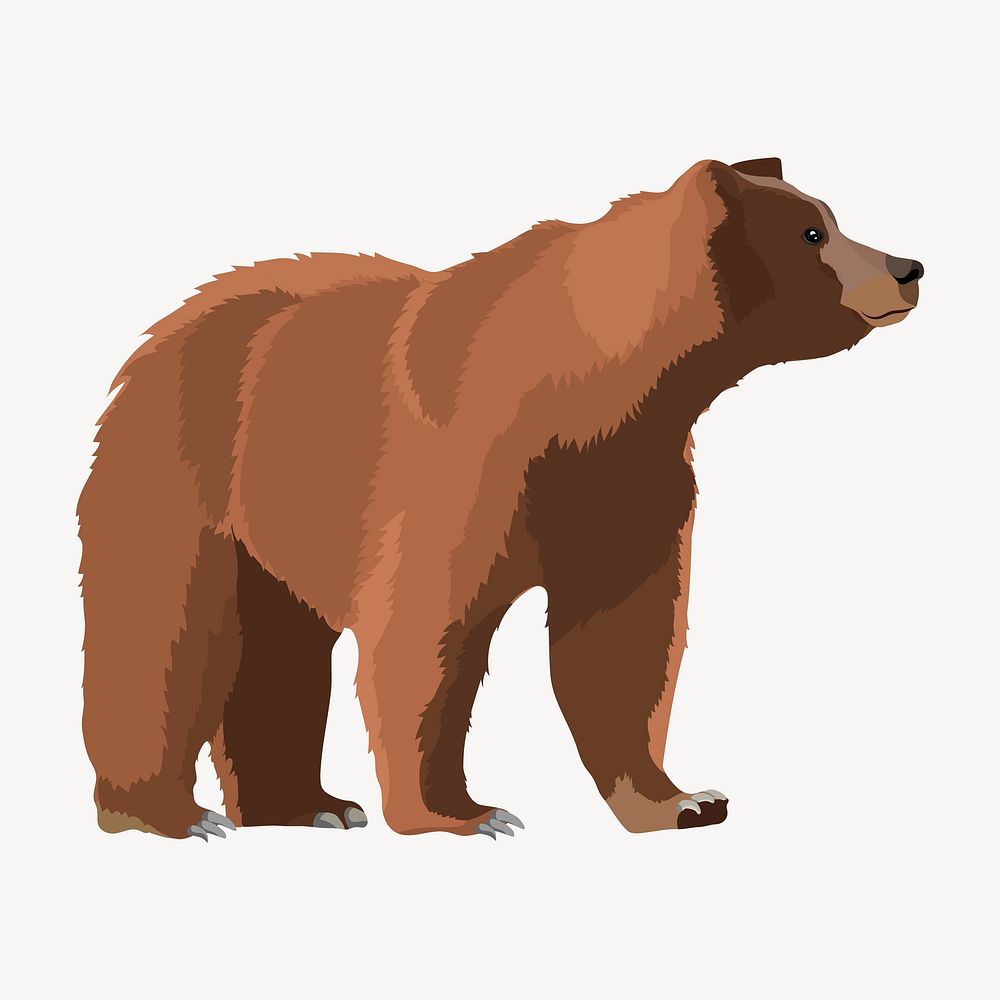 Brown bear on four legs illustration, realistic clipart psd
