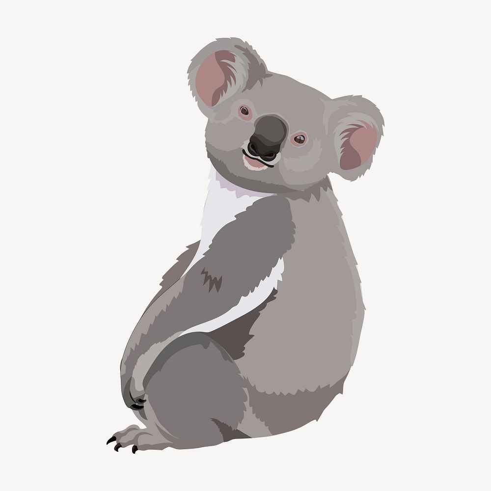 Koala bear, wild Australian animal illustration clipart psd