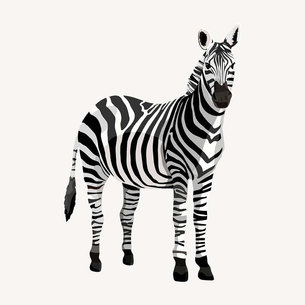 Zebra safari animal, wild life illustration clipart psd