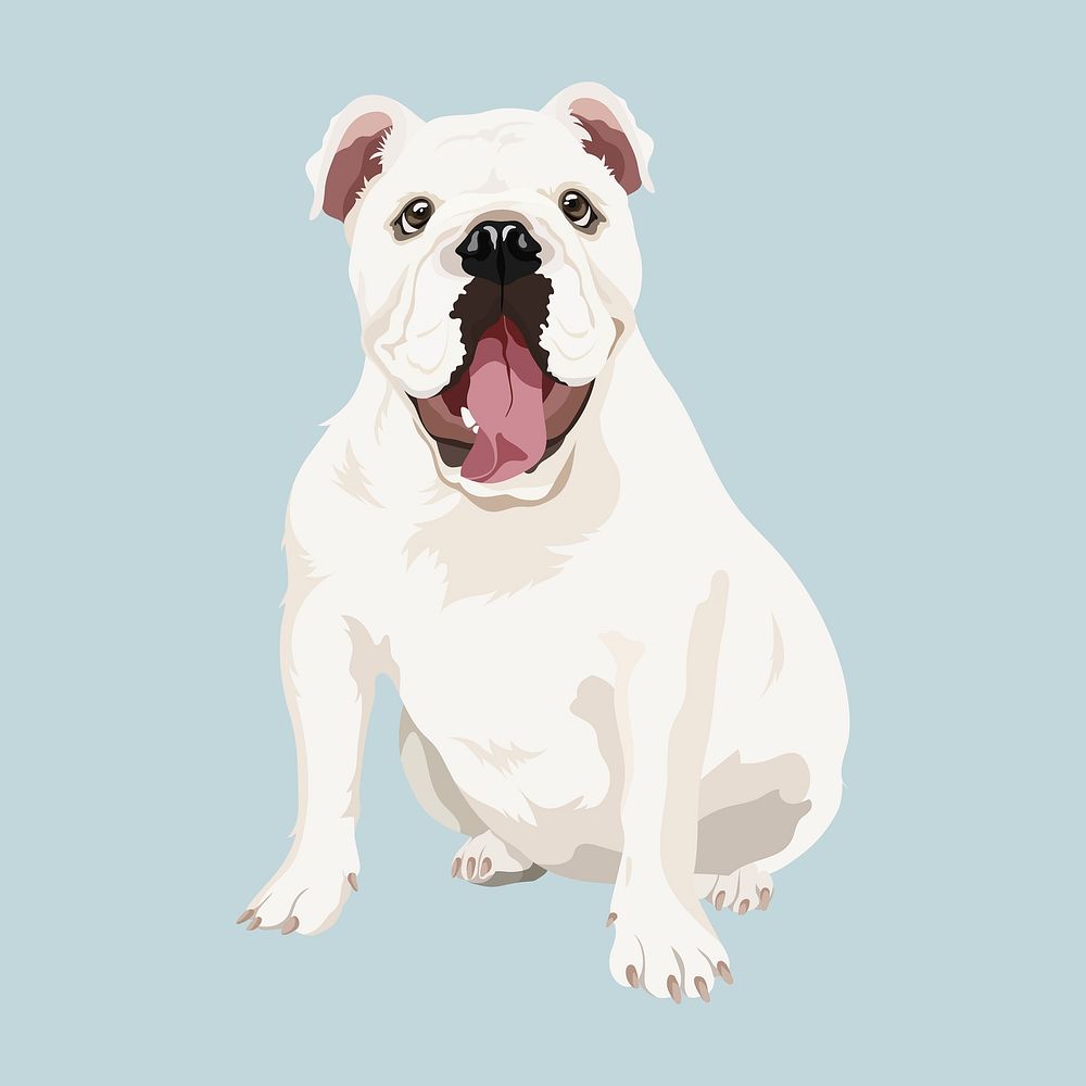 english bulldog, dog illustration vector
