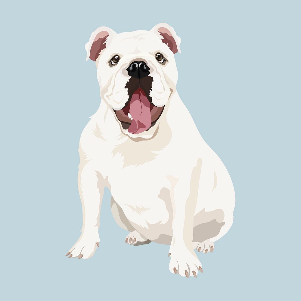 English bulldog, dog illustration psd