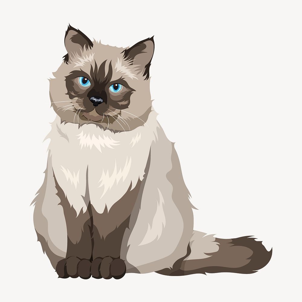 Ragdoll cat illustration clipart, grumpy pet vector