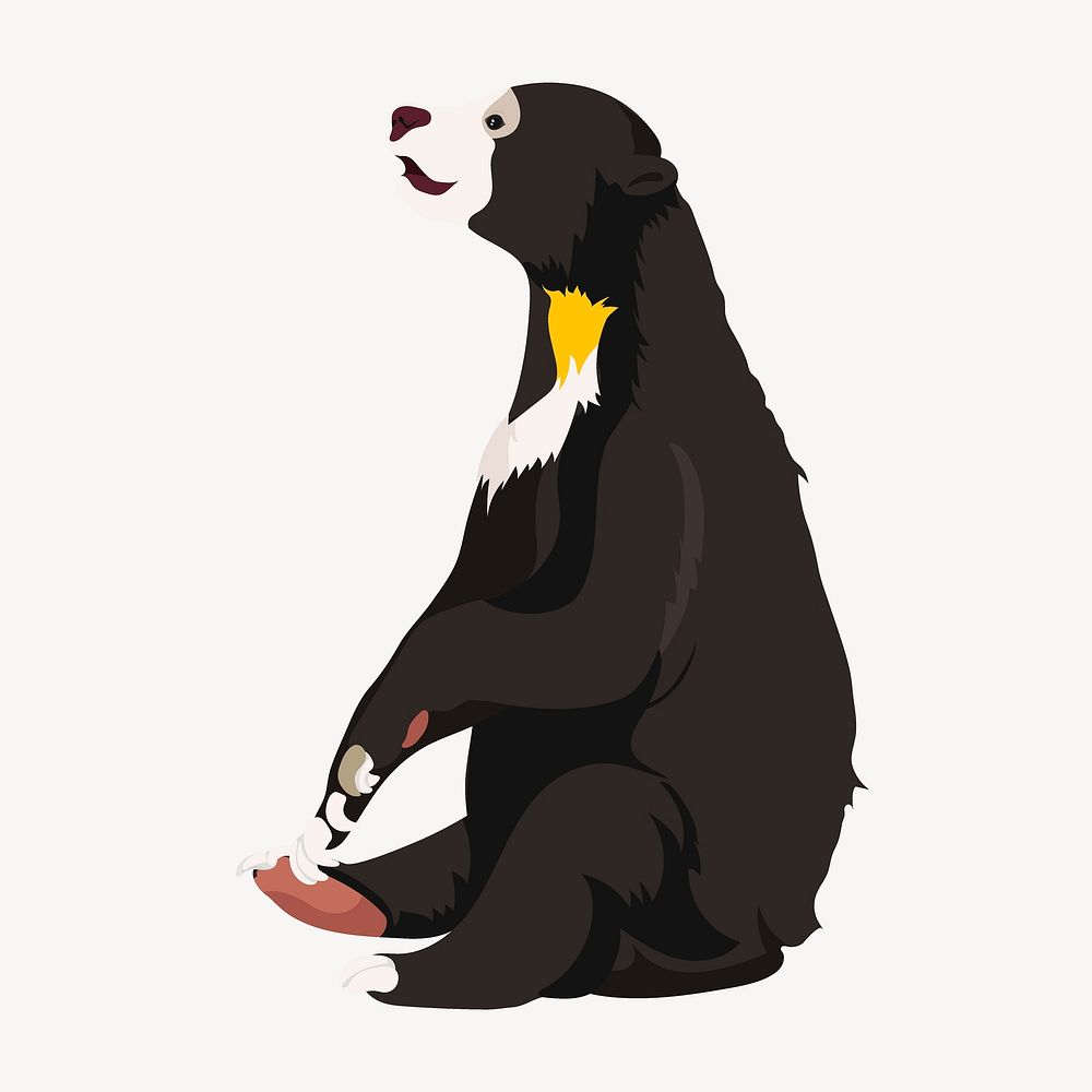 Sun bear sitting, Malaysian animal illustration vector
