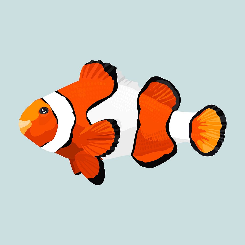 Clownfish illustration, pet animal clipart vector