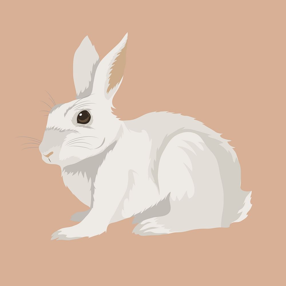 White rabbit illustration clipart vector