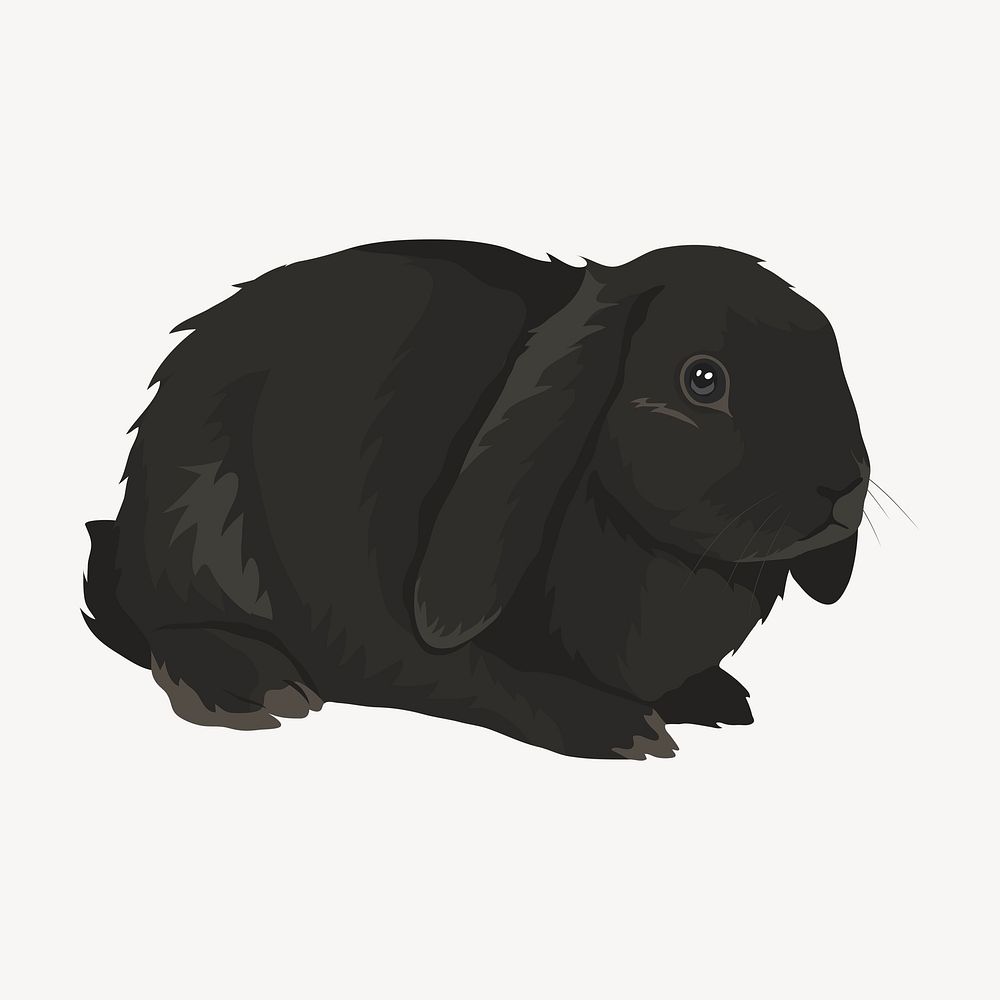 Pet bunny, black animal clipart psd