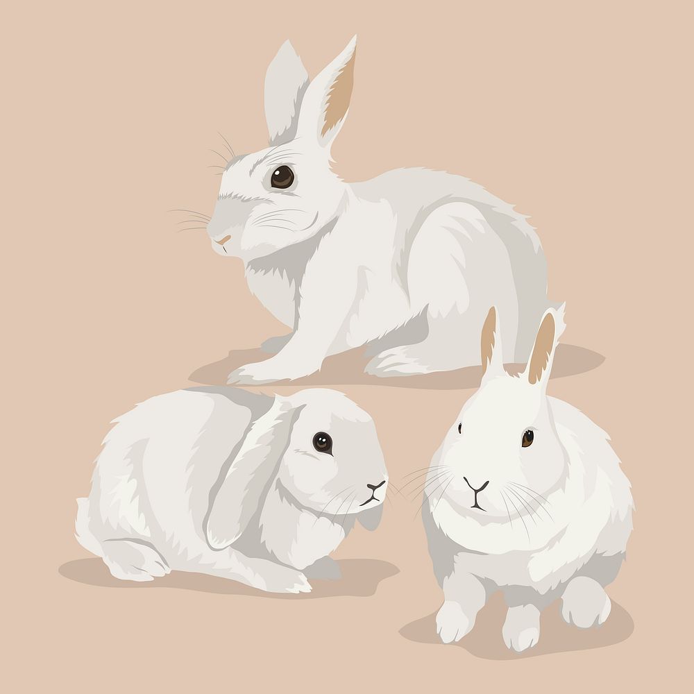 Three bunnies, pet animal illustration vector 