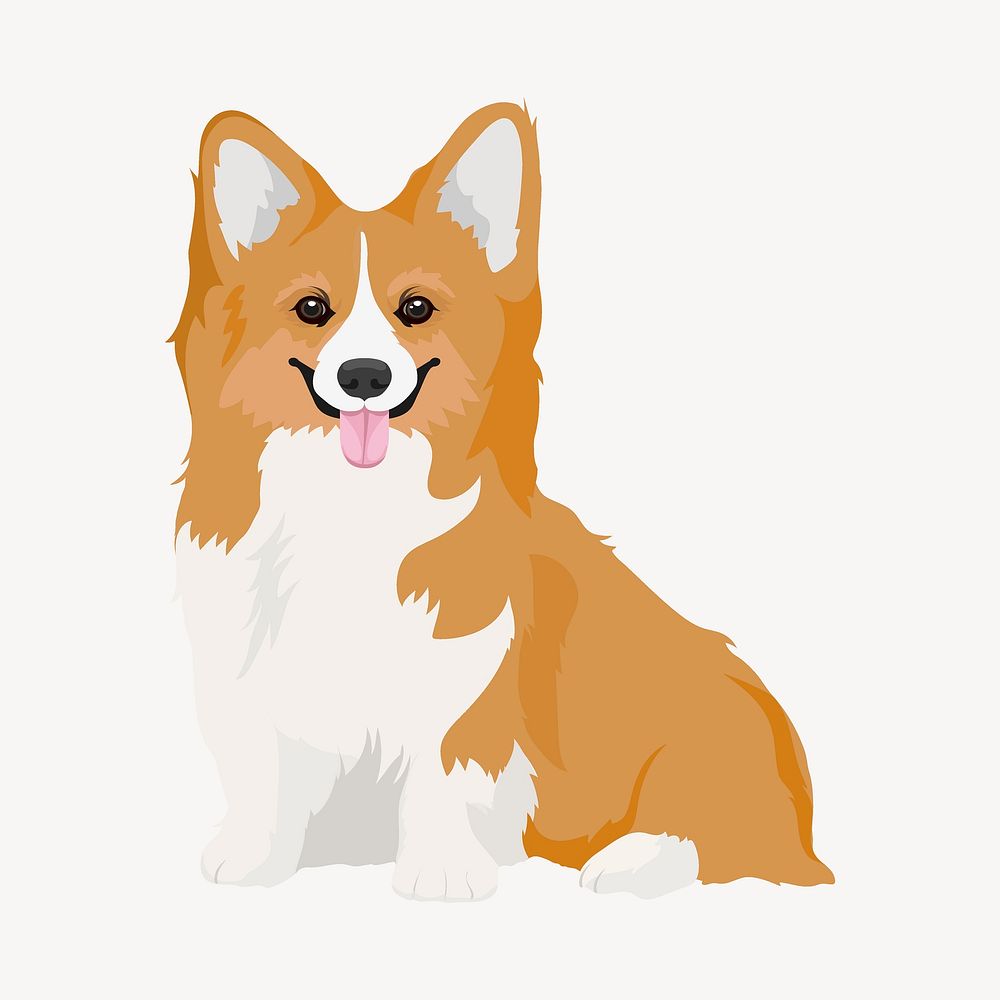 Welsh corgi dog, realistic puppy illustration vector