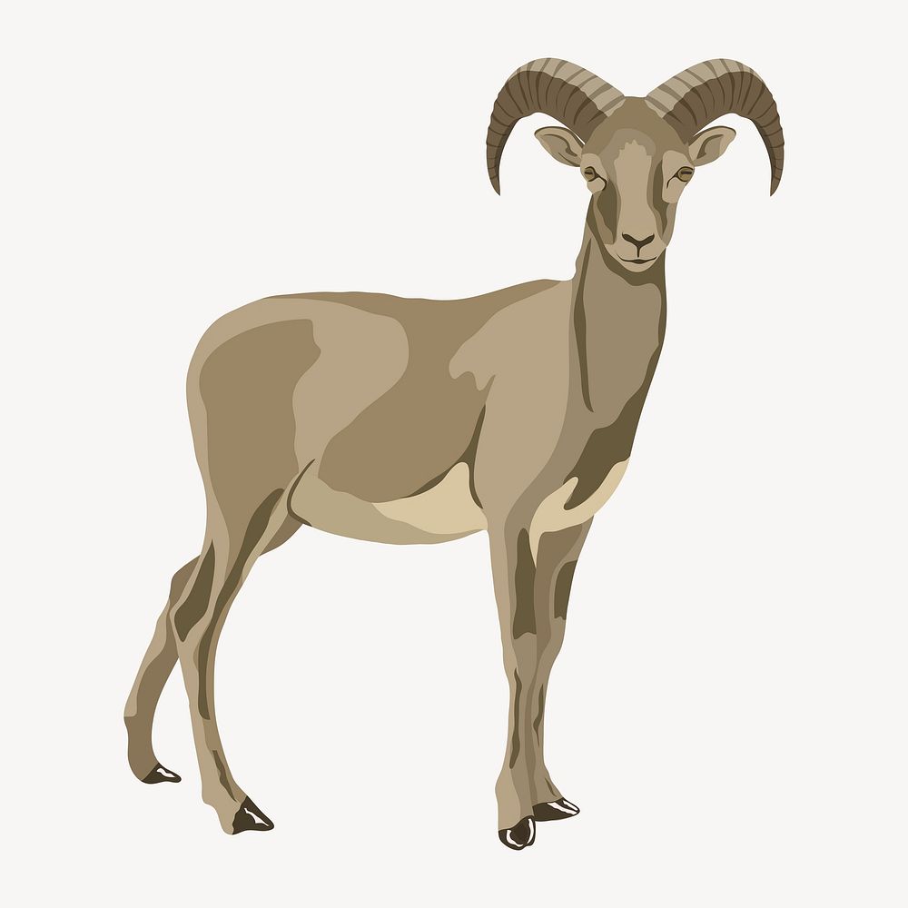 Mountain goat illustration, wild animal clipart vector