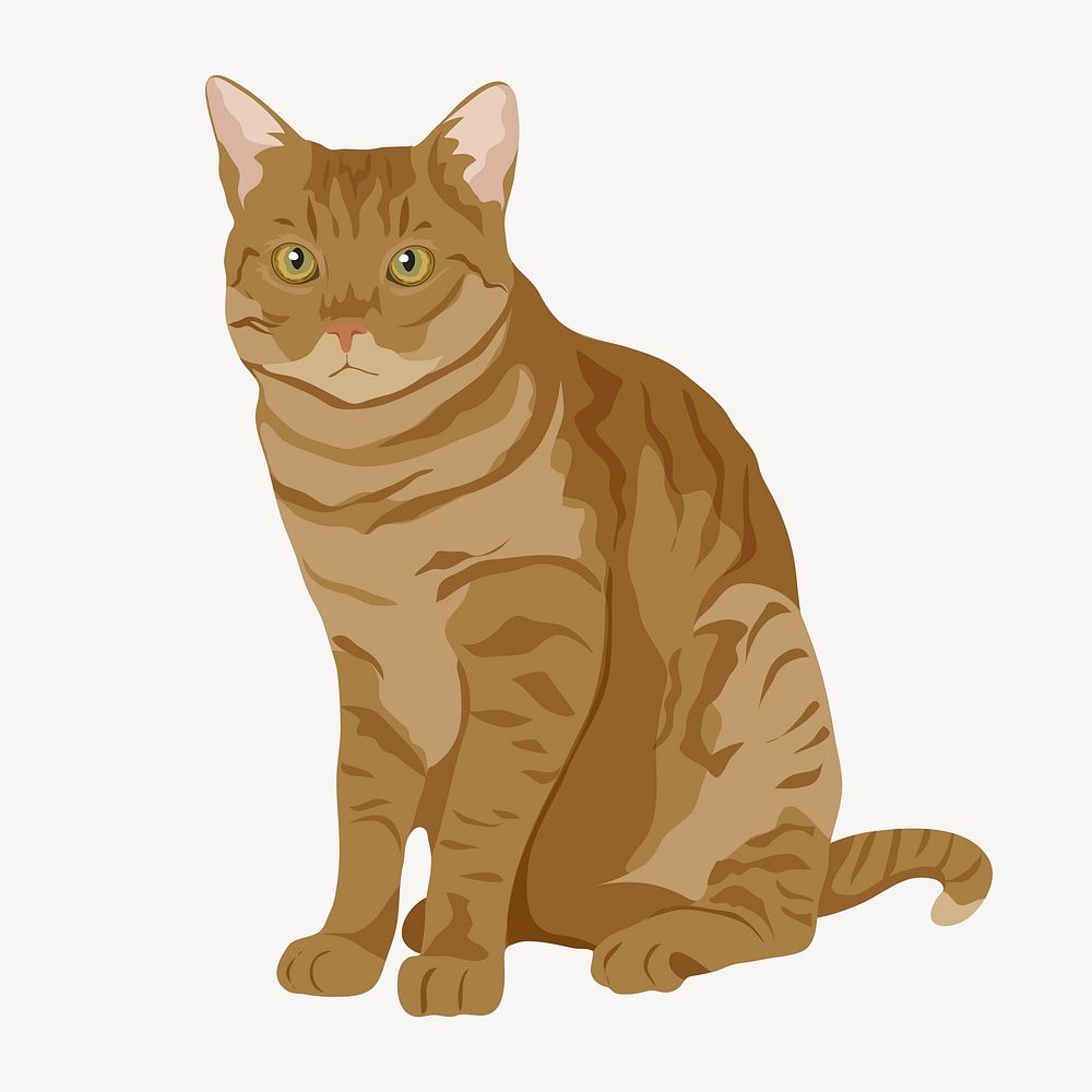 Pet cat, ginger shorthair, animal illustration vector