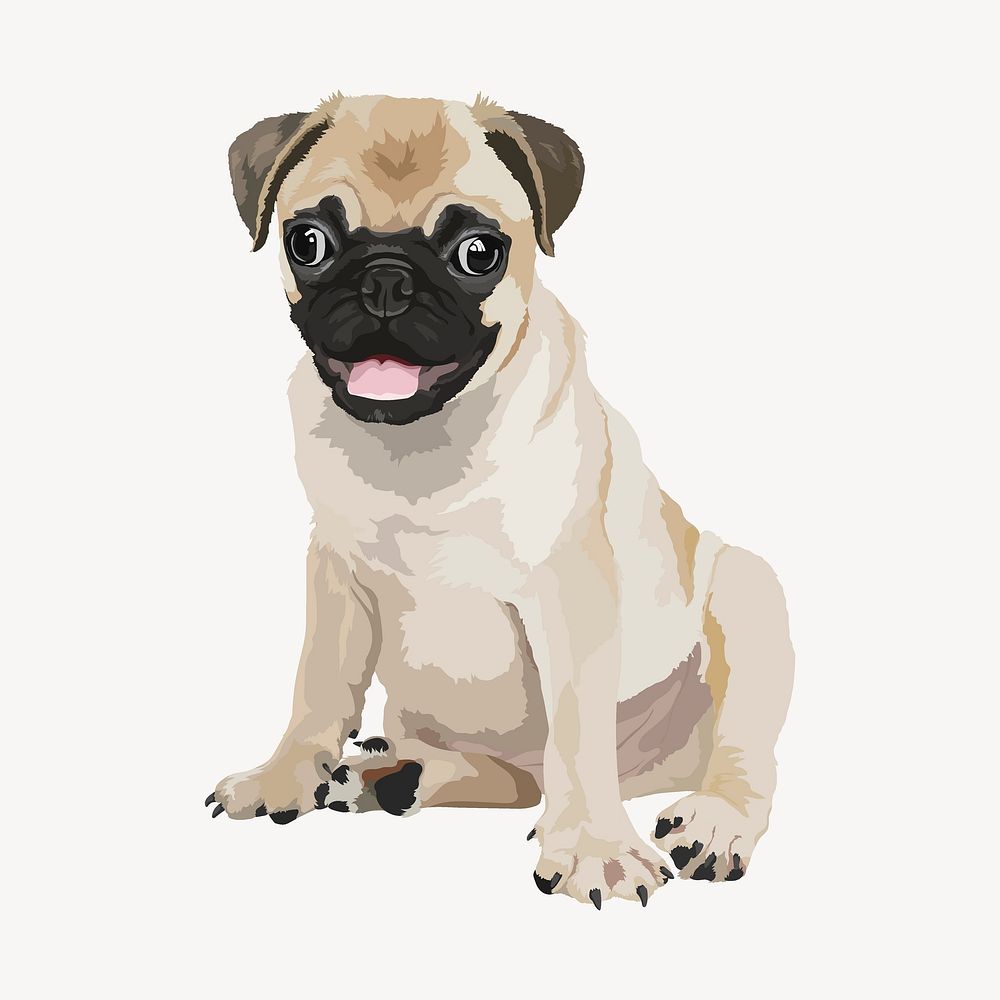 Pug puppy illustration, baby dog vector