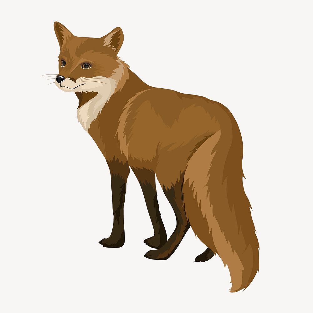 Fox illustration clipart psd