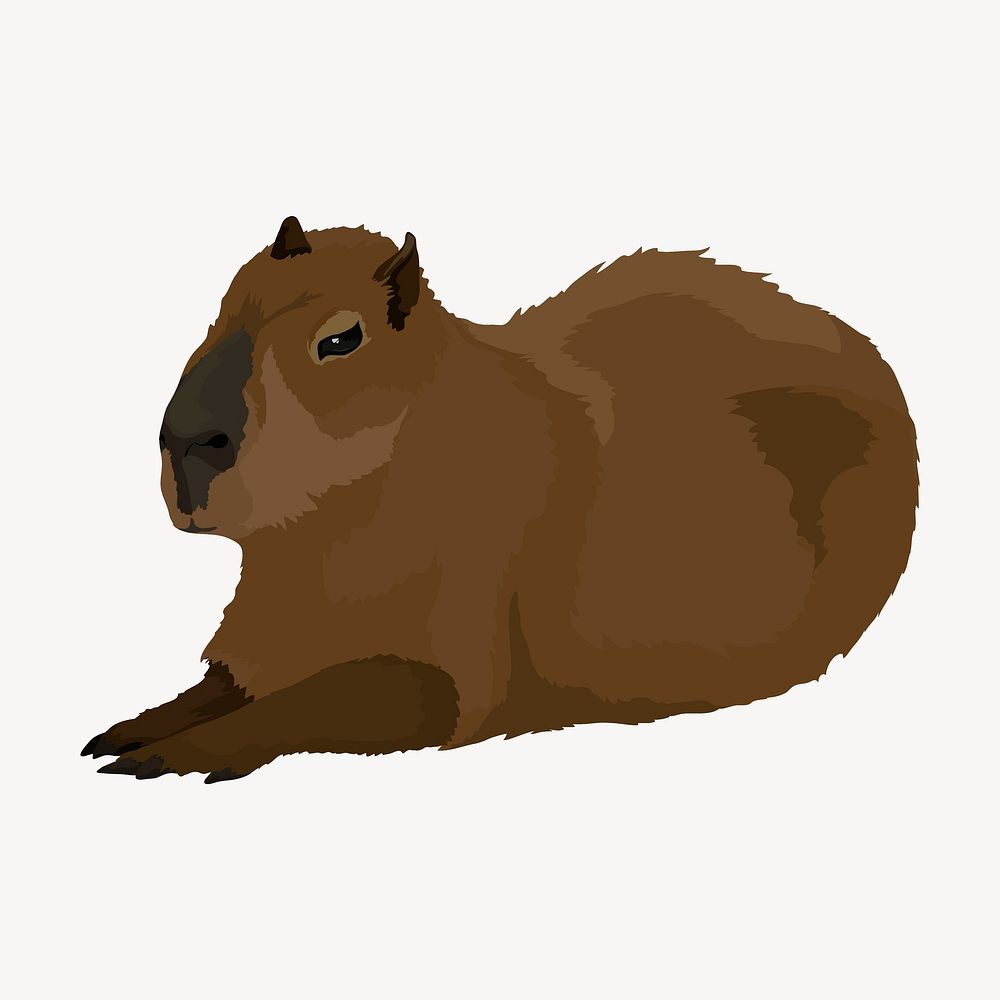 Water hog illustration, capybara, rodent animal vector