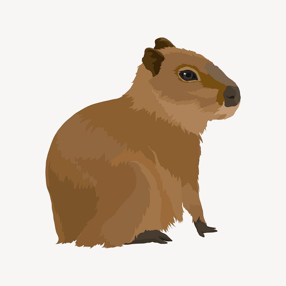 Water hog, capybara animal illustration vector