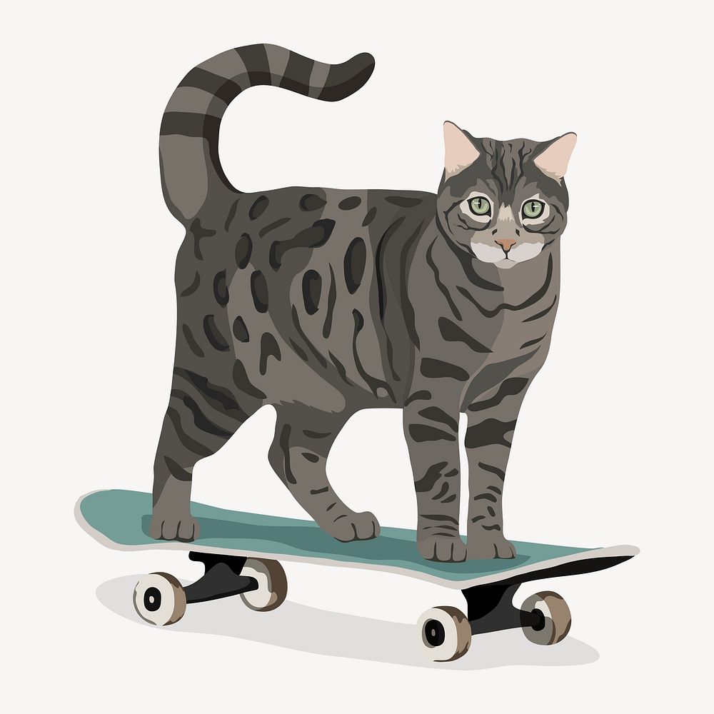 Cool cat, skateboard and silver bengal cat psd