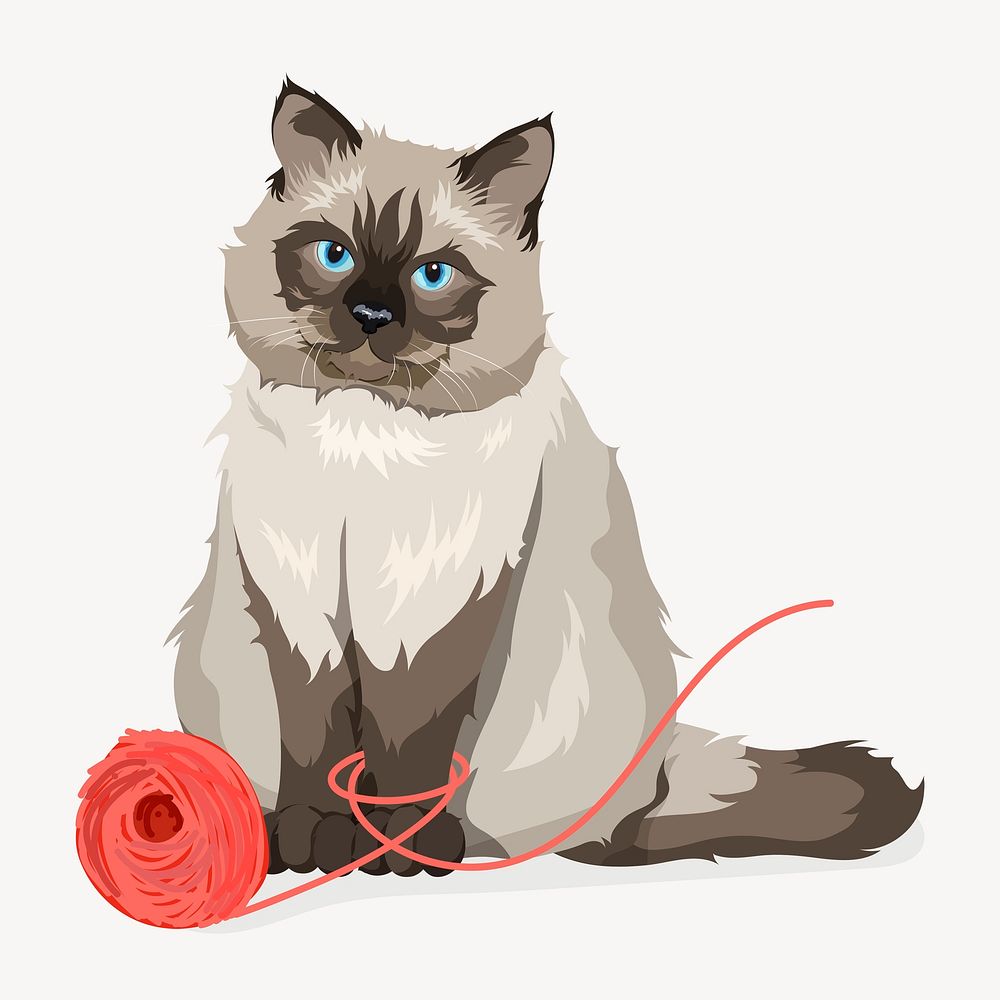 Ragdoll cat playing with yarn illustration clipart psd