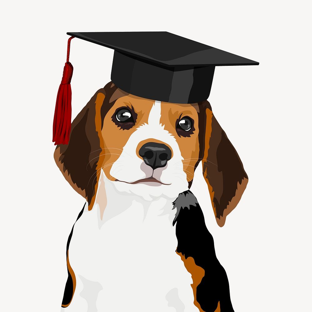 Smart beagle puppy, graduation cap illustration vector