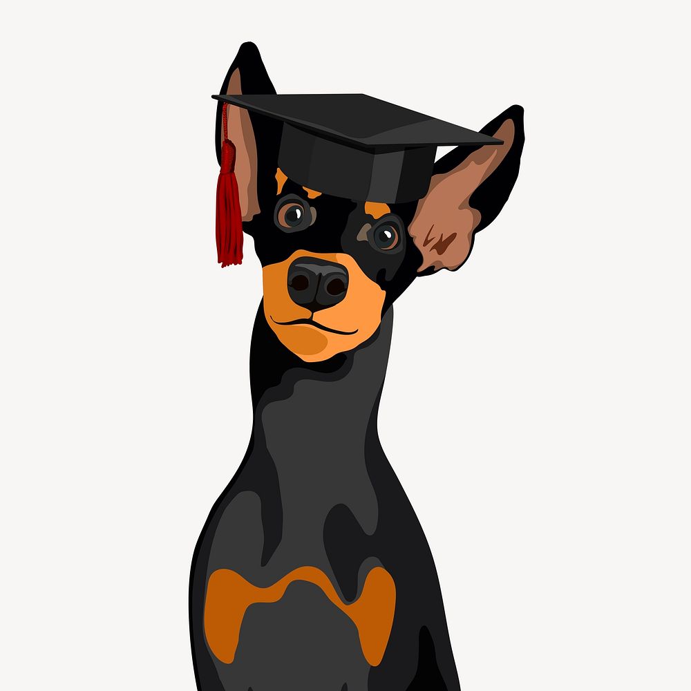 Mini pinscher dog, graduation cap illustration psd