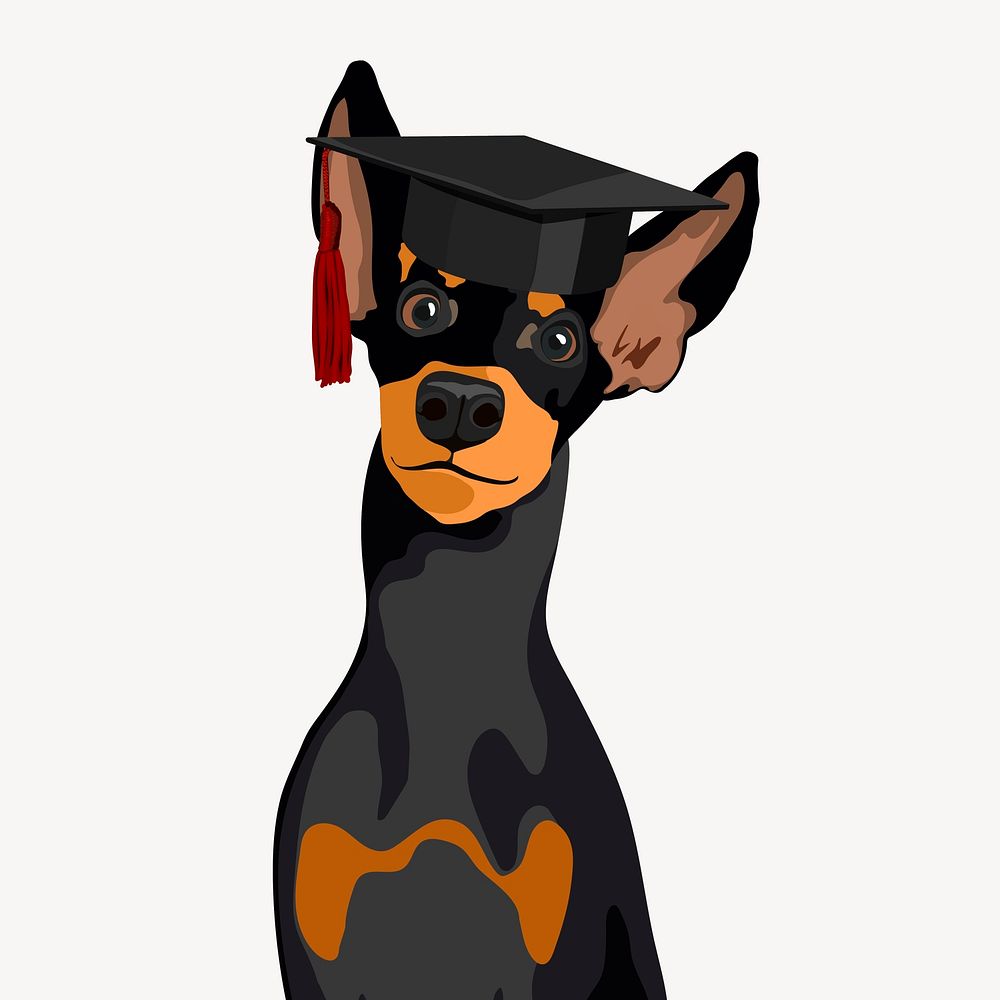 Mini pinscher dog, education illustration vector