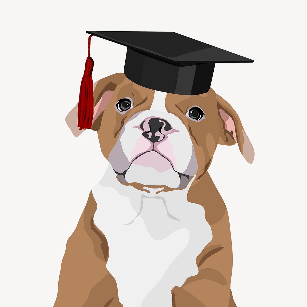Smart bulldog, dog wearing graduation cap illustration vector