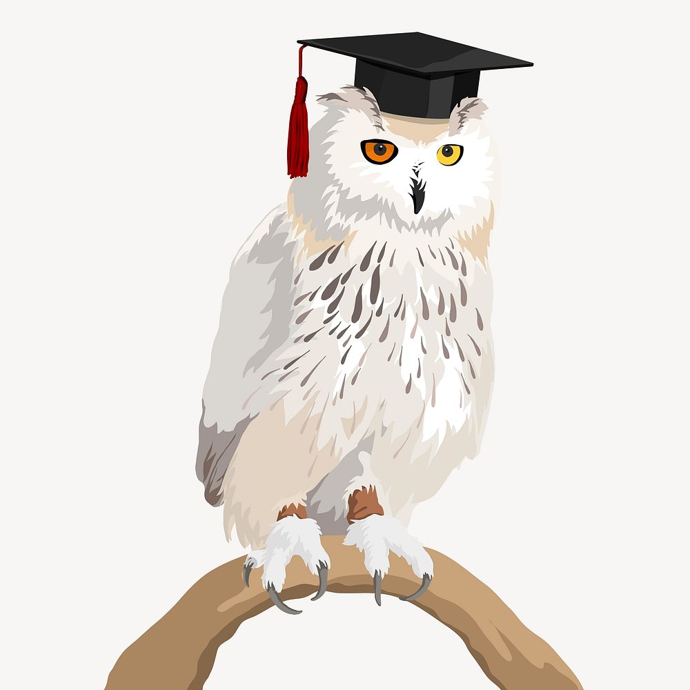 Owl in graduation cap, education illustration vector