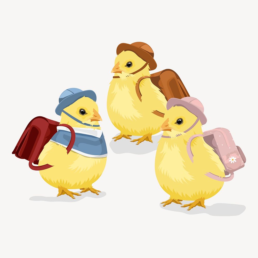 Baby chicks illustration, cute kindergarten students vector