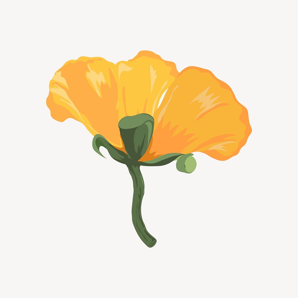 Yellow poppy illustration clipart psd