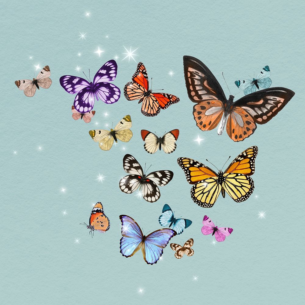 Colorful freedom butterflies collage element, insect psd