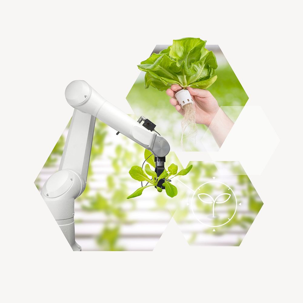 Agricultural robot, hydroponic farm on off white background psd