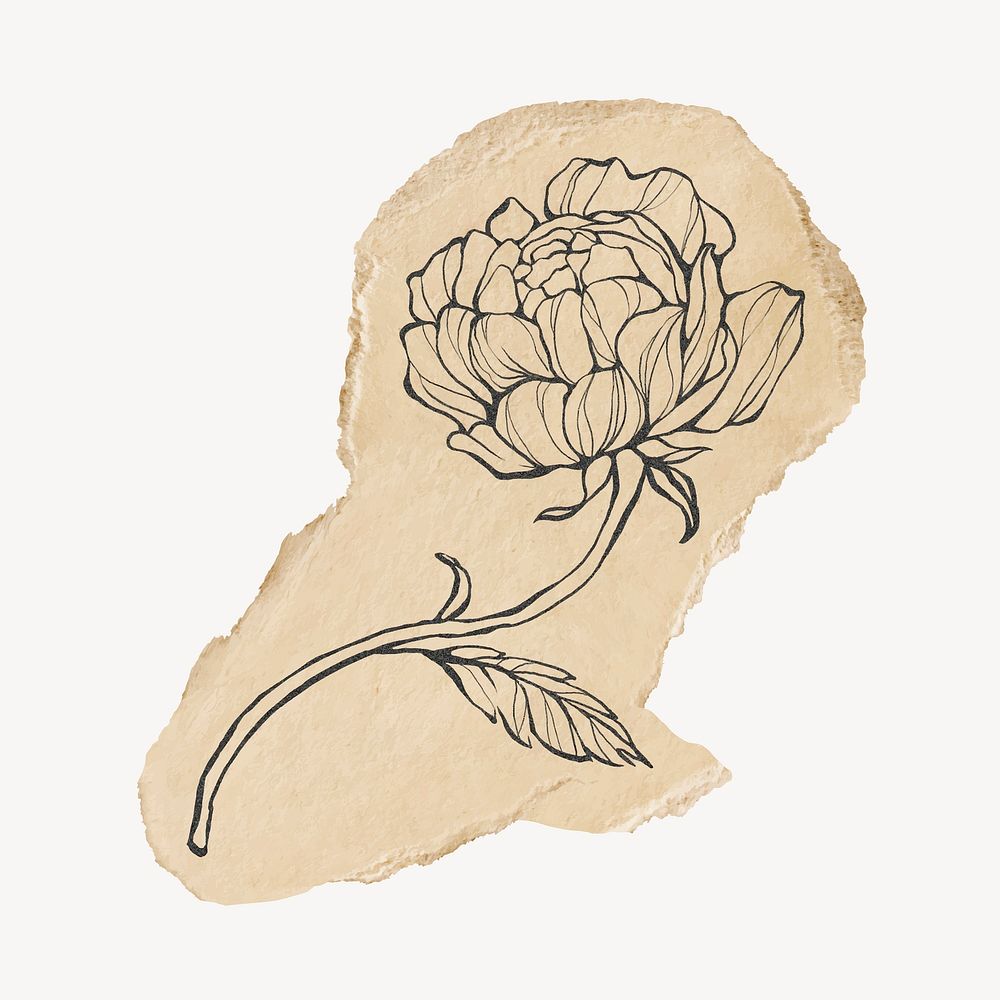 Peony line art collage element on brown ripped paper vector