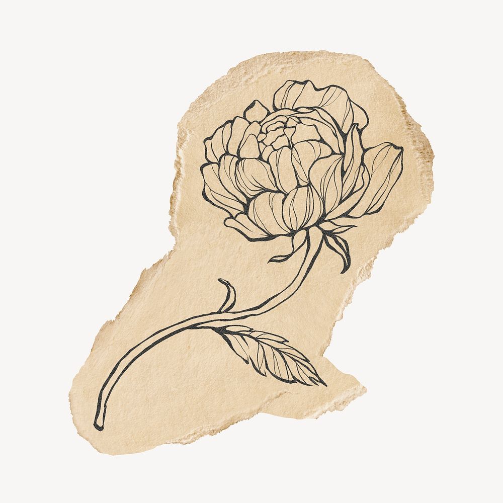 Peony collage element on brown ripped paper design psd