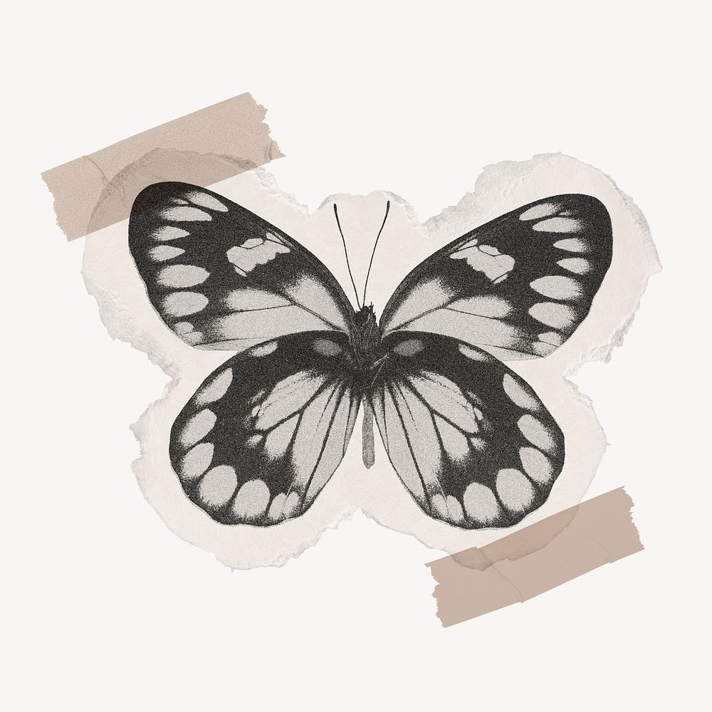 Black butterfly collage element, washi tape design psd