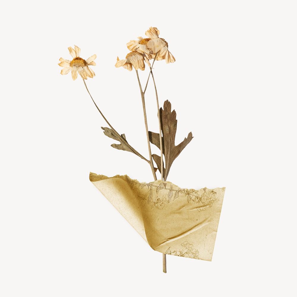 Dried flower sticker, ripped paper design psd
