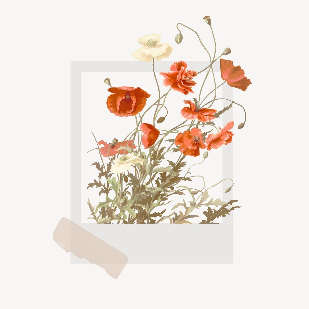 Instant photo frame collage element, poppy flower design vector