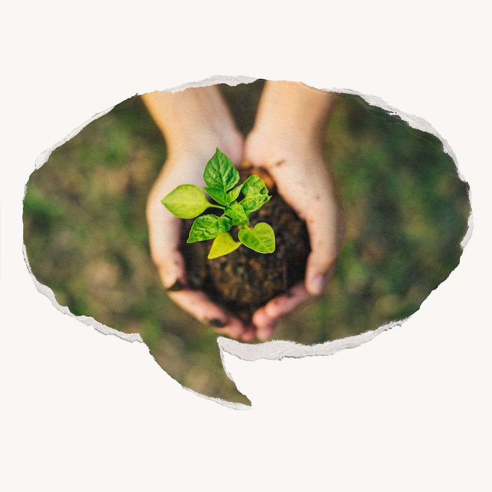 Hand cupping plant paper speech bubble, environment concept 