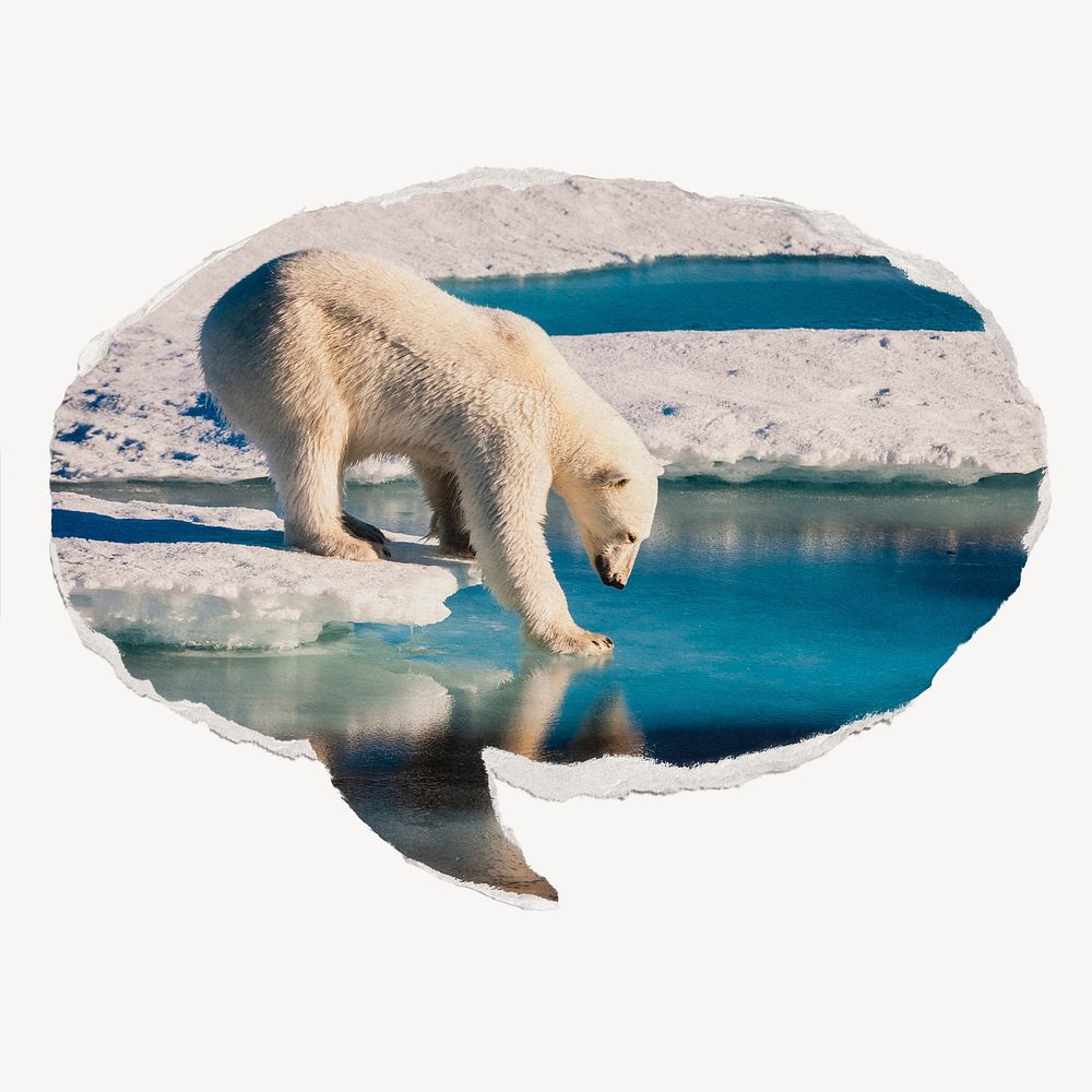 Climate change paper speech bubble, polar bear stepping on ice image