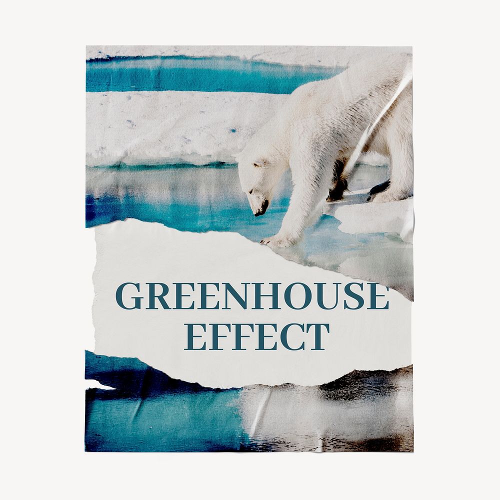 Greenhouse effect ripped poster, polar bear stepping on ice