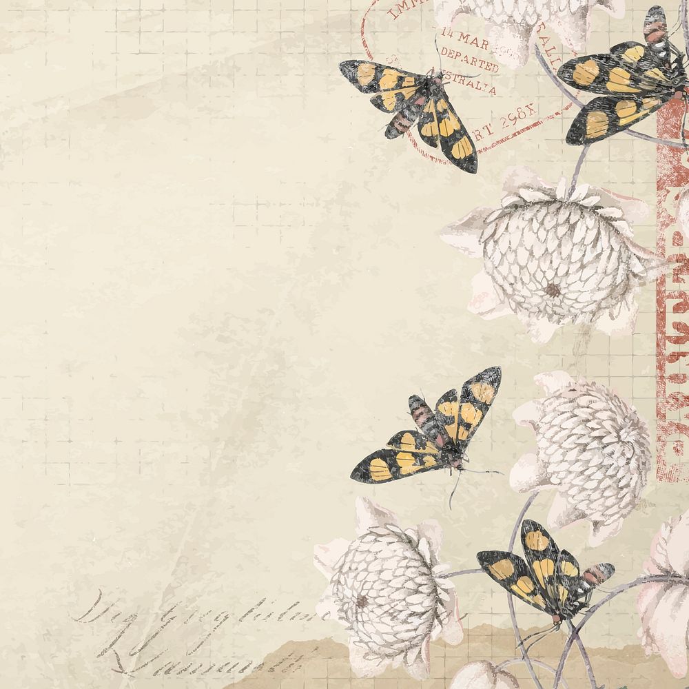 Flowers and butterflies background, ephemera illustration vector