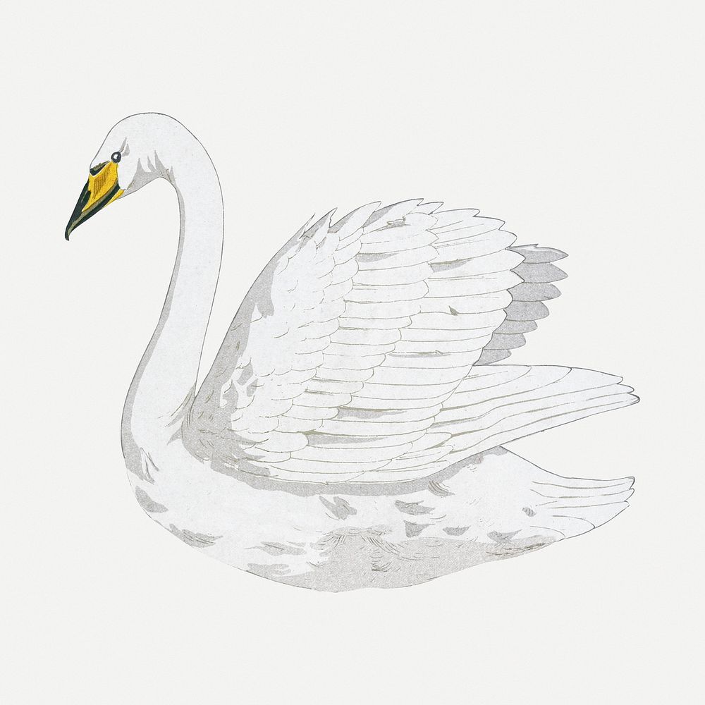 Vintage swan sticker, bird animal illustration psd