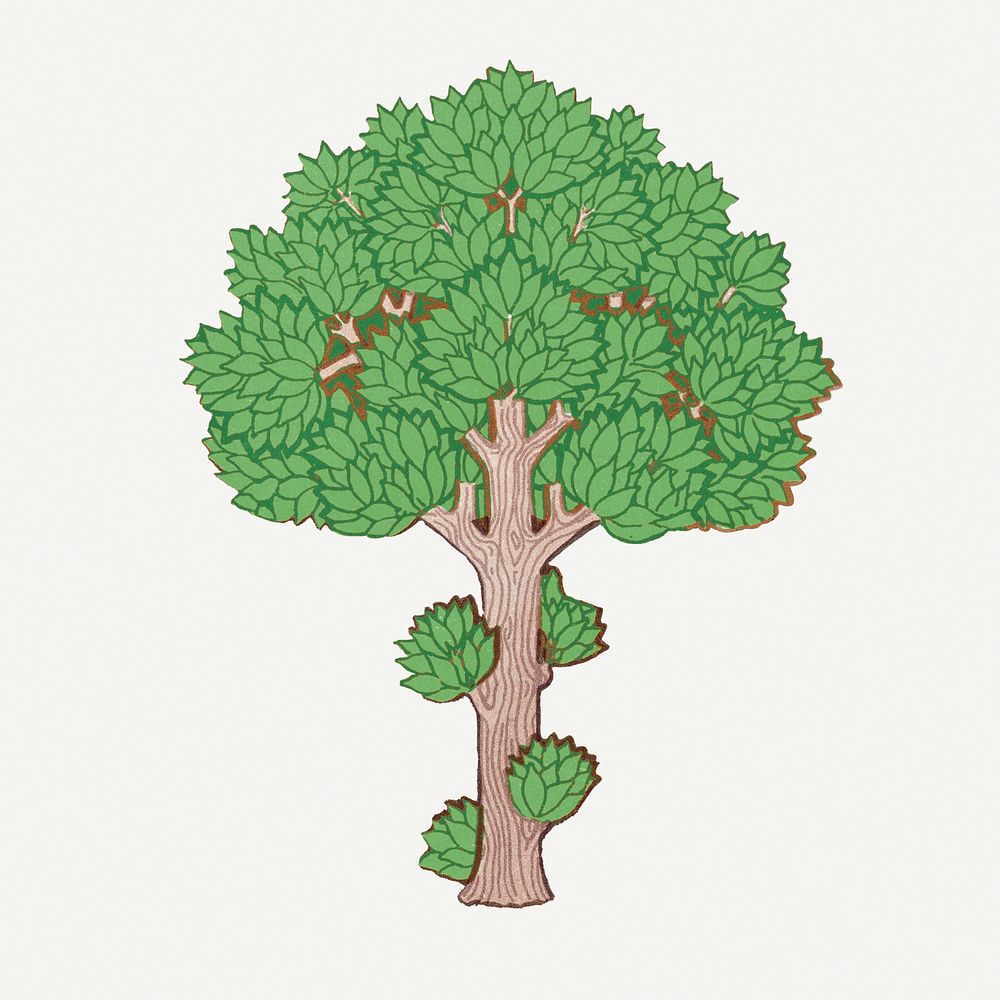 Green tree, vintage botanical illustration