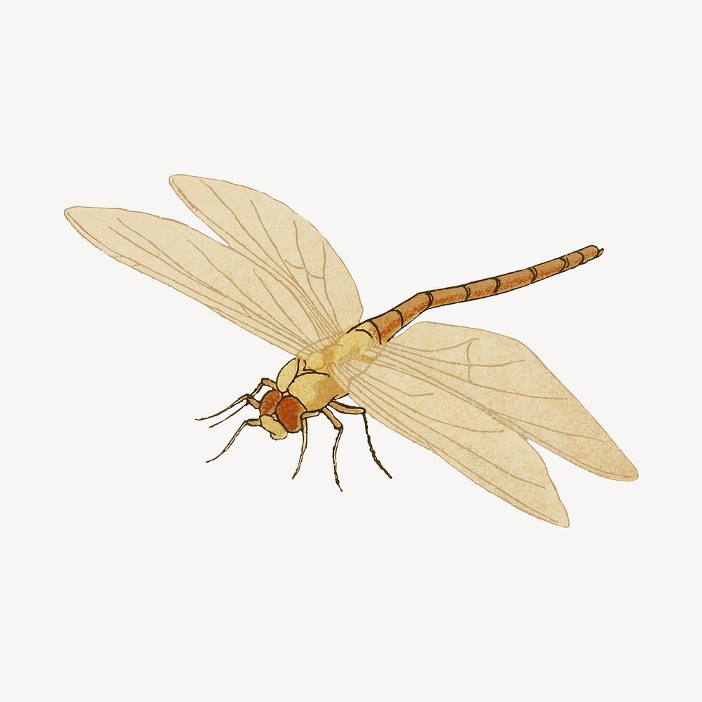 Vintage dragonfly sticker, aesthetic decoration vector