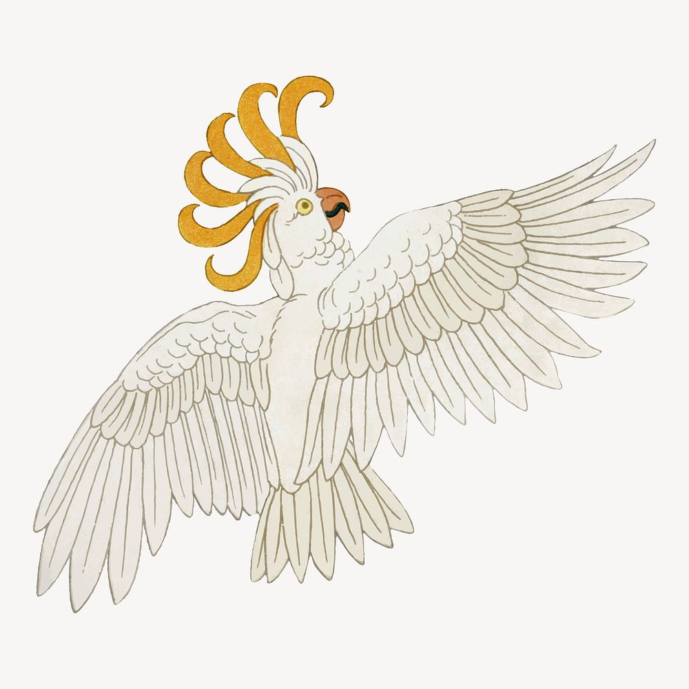 Cockatoo bird sticker, vintage animal illustration vector