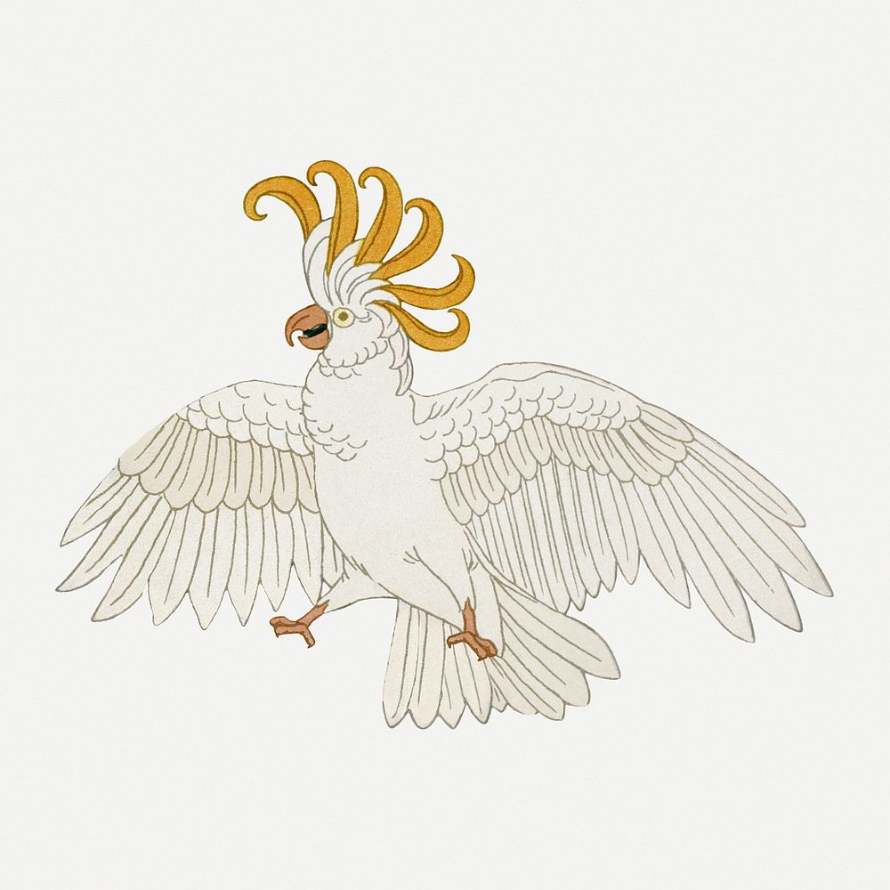 Cockatoo bird sticker, vintage animal illustration psd