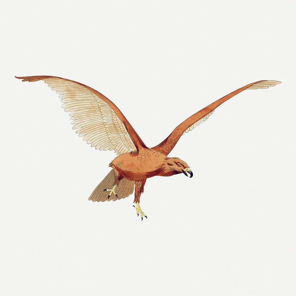Flying bird sticker, vintage animal illustration psd