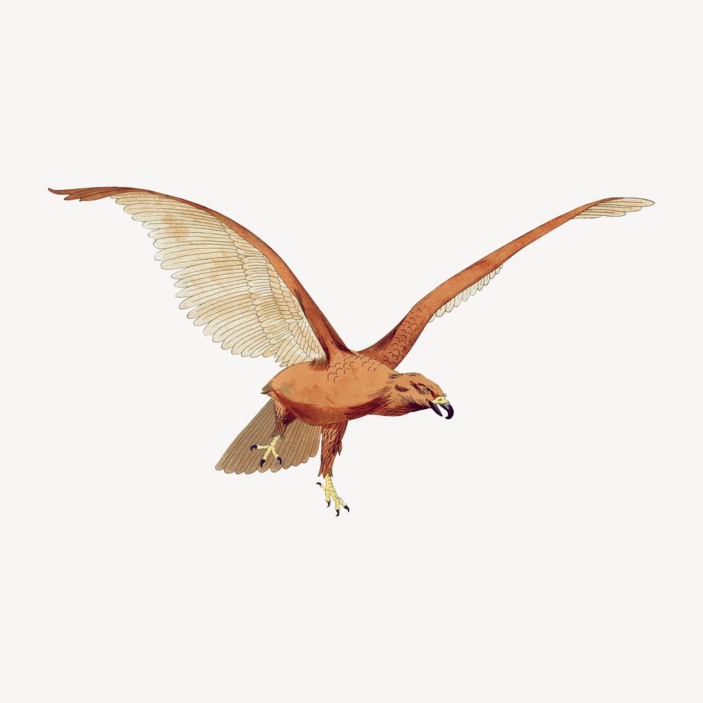 Flying bird sticker, vintage animal illustration vector