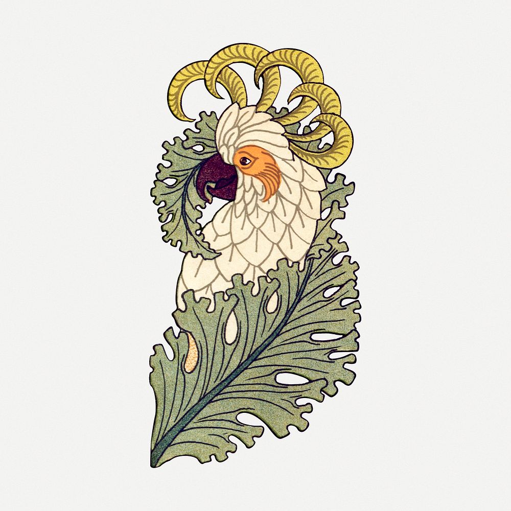 Cockatoo bird sticker, vintage animal illustration psd