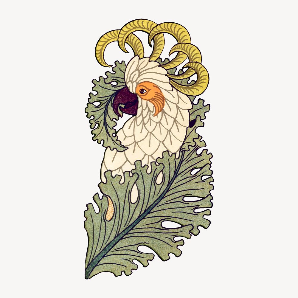 Cockatoo bird sticker, vintage animal illustration vector