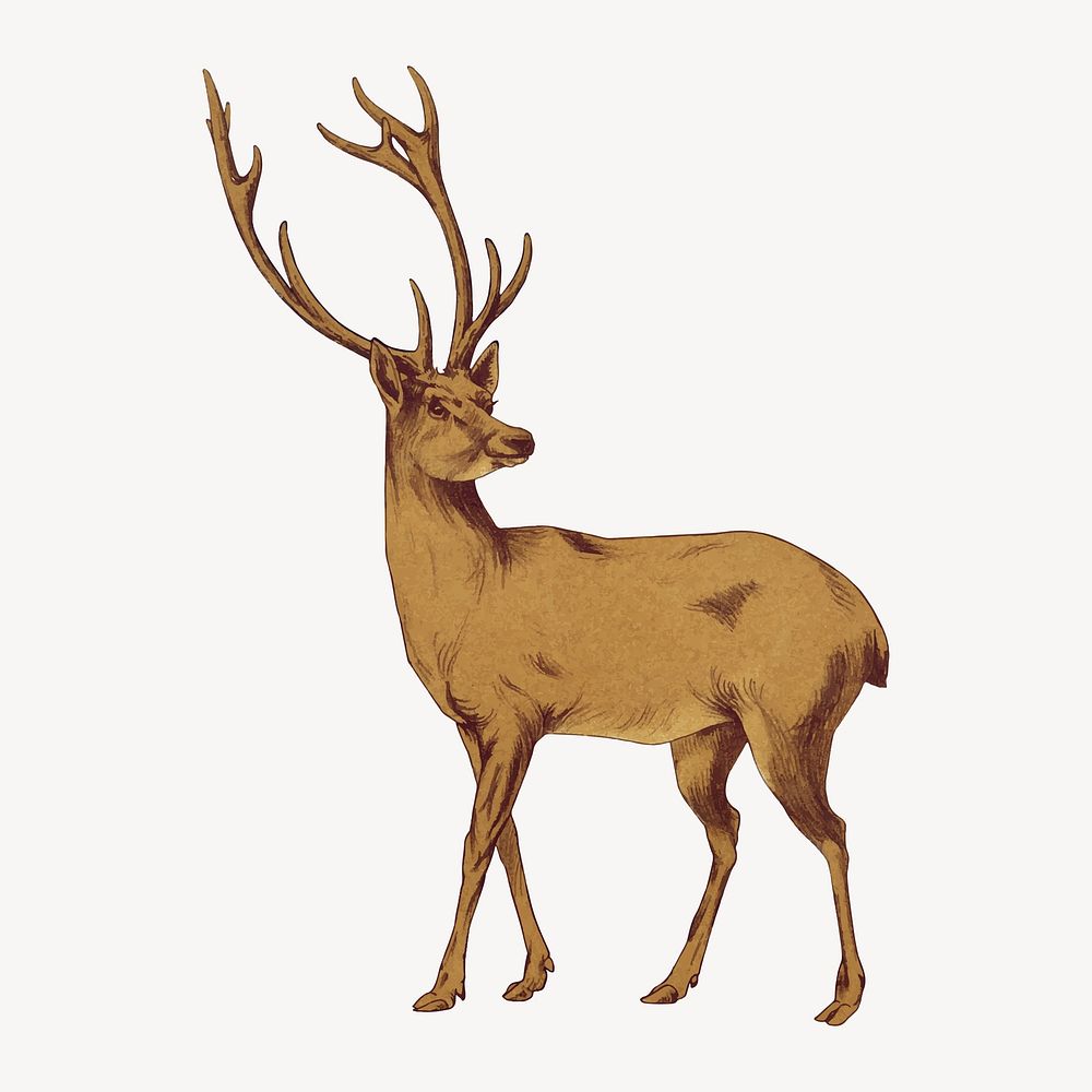 Stag sticker, vintage animal illustration vector 